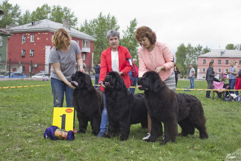 Фотография № 225245