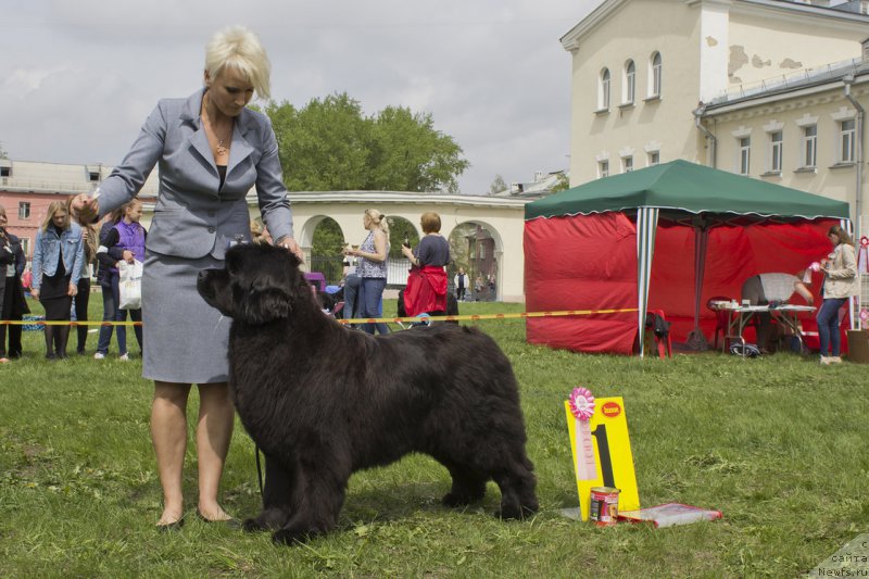 Фотография № 225246