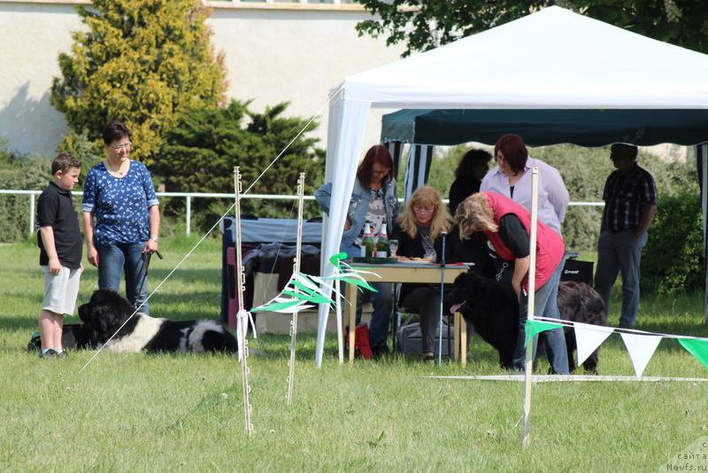 Фотография № 225247