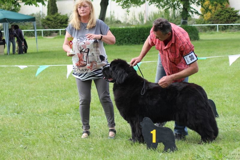 Фотография № 225248