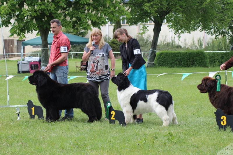 Фотография № 225249