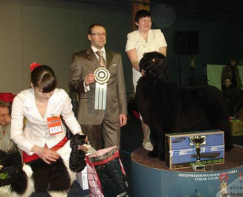 Фото: ньюфаундленд Акватория Келвин Заския, Татьяна Абутова
