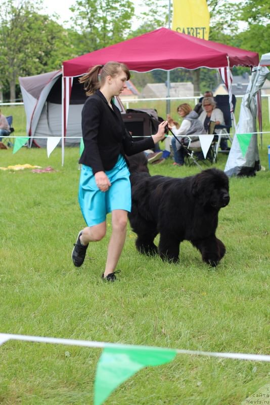 Фотография № 225250