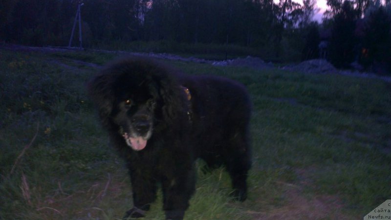 Фотография № 225264