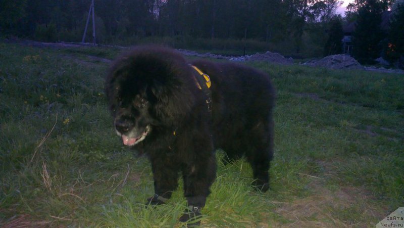 Фотография № 225265