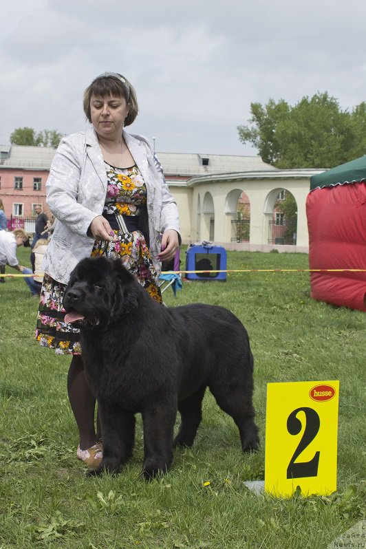 Фотография № 225281