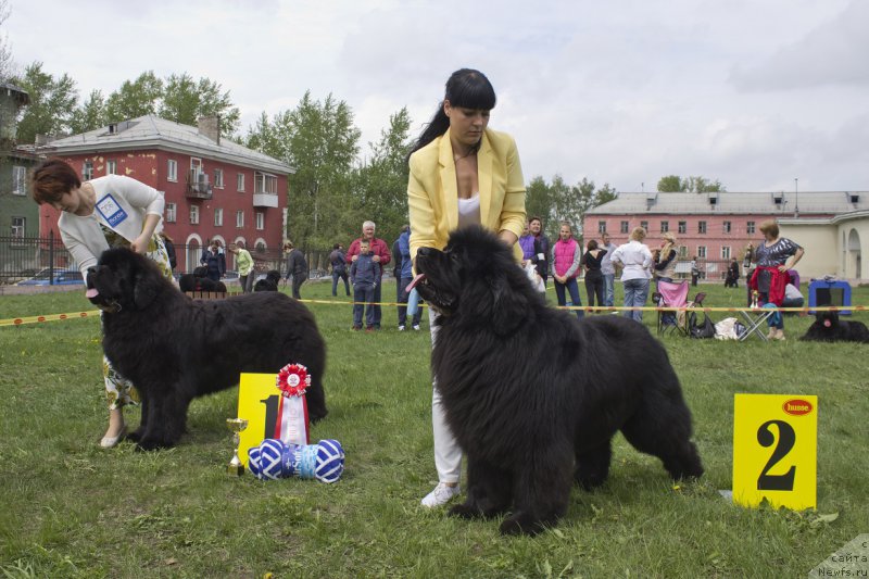 Фотография № 225283