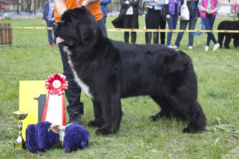 Фотография № 225285