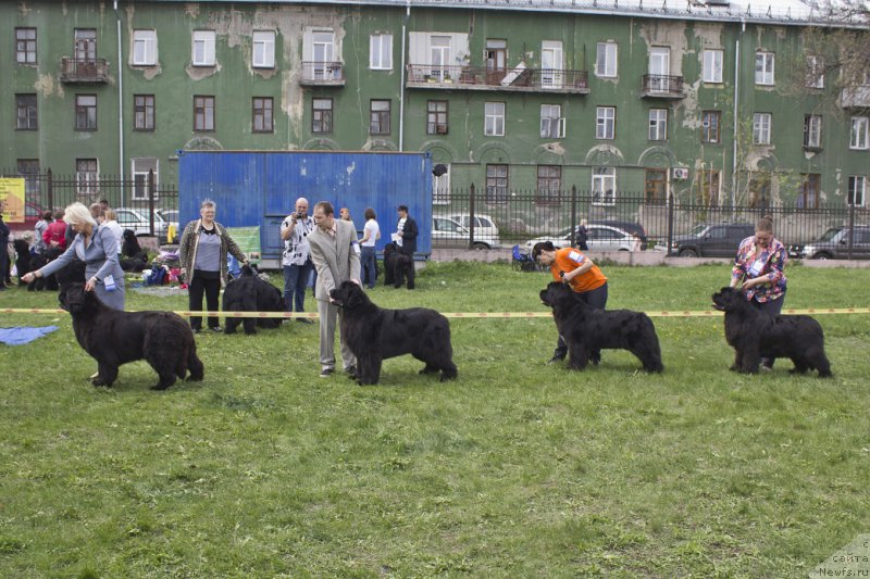 Фотография № 225286