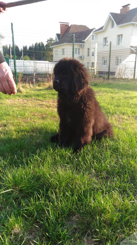 Фотография № 225291