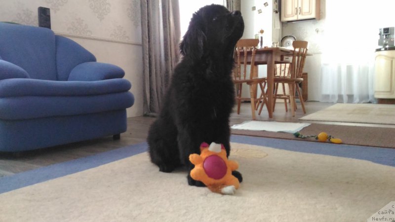 Фотография № 225293