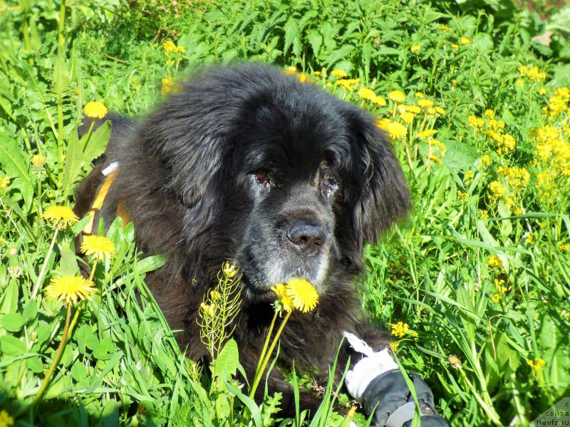 Фотография № 225313