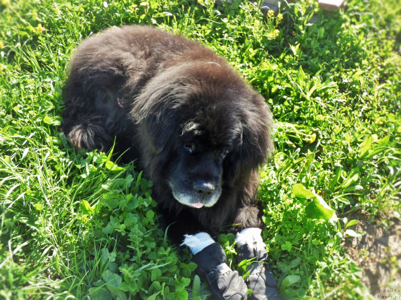 Фотография № 225316