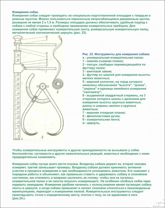 Фотография № 225319