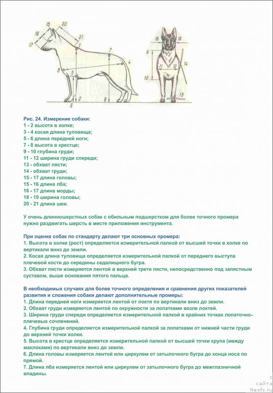 Фотография № 225320