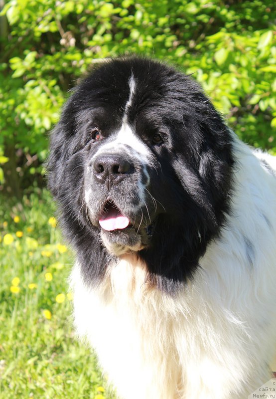 Фотография № 225350