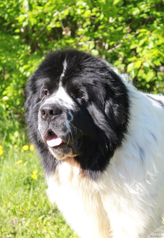 Фотография № 225351