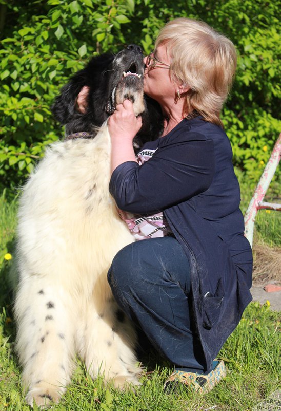 Фотография № 225355