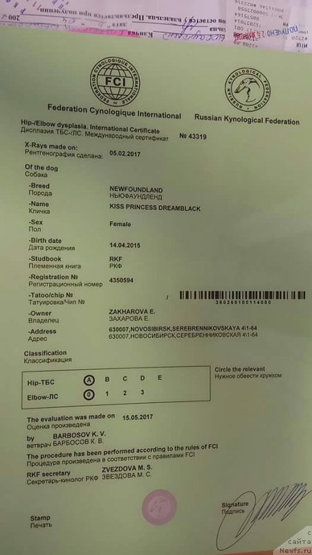 Фотография № 225359