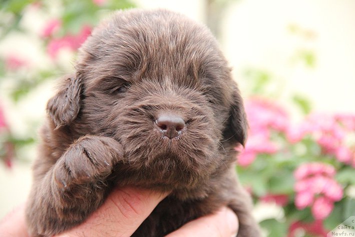 Фотография № 225362