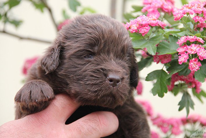 Фотография № 225363