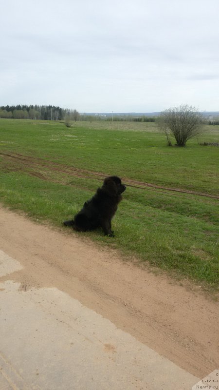 Фотография № 225395