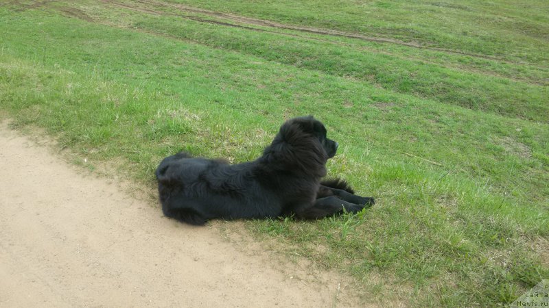 Фотография № 225396