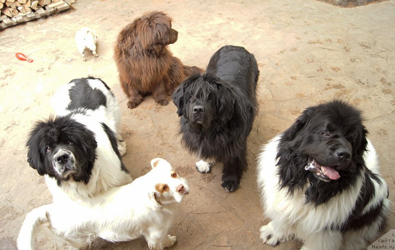 Фотография № 225397