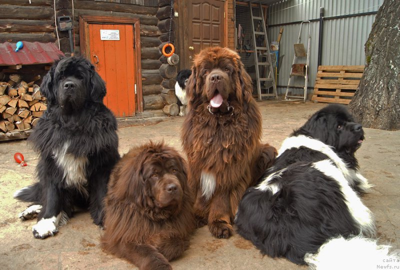 Фотография № 225399