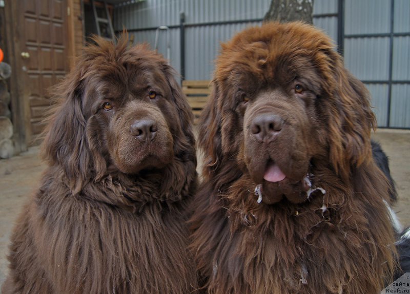 Фотография № 225401