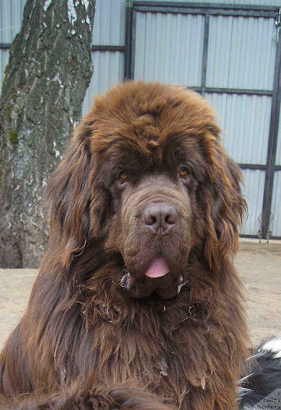 Фотография № 225402