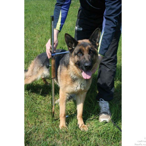 Фотография № 225406