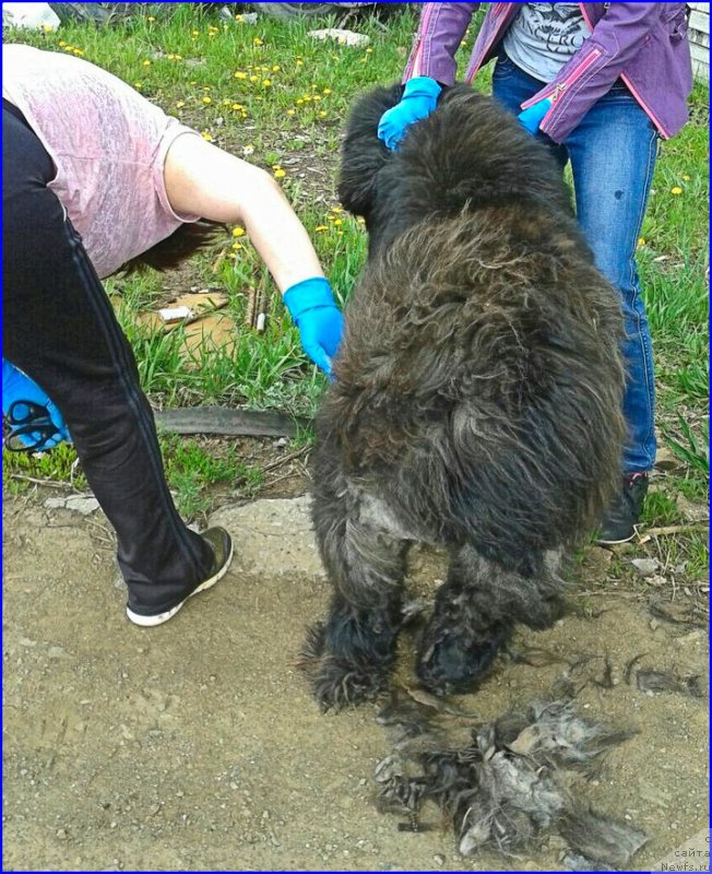 Фотография № 225420