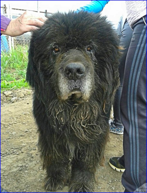 Фотография № 225421