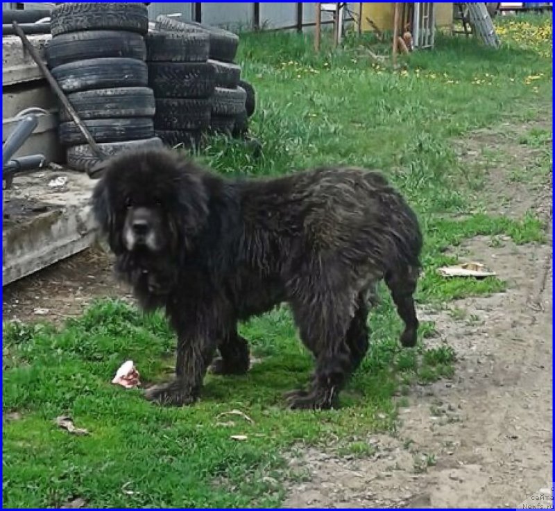 Фотография № 225422