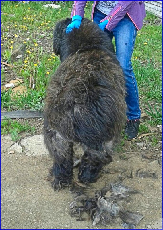 Фотография № 225423