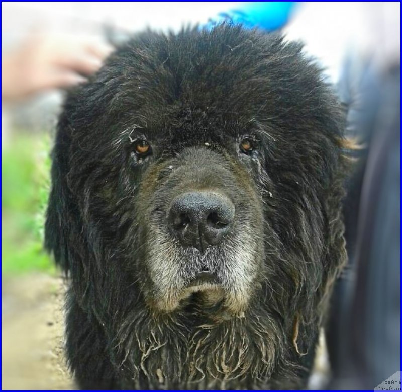 Фотография № 225424