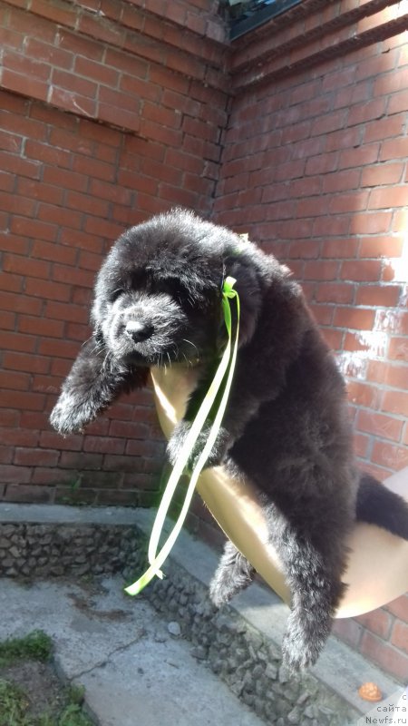 Фотография № 225425