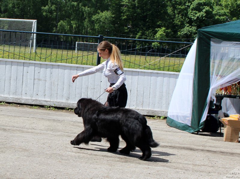 Фотография № 225427