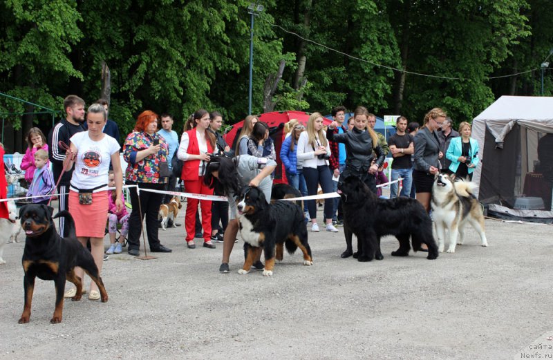 Фотография № 225428