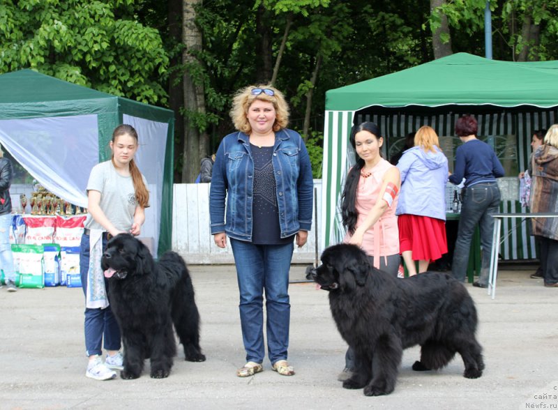 Фото: Мария Шмелева, ньюфаундленд Чарльз Балу Блек Биар, Татьяна Ильина, ANGELO ORSO BENEDETTA MILLISENTA