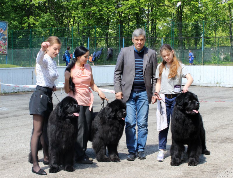 Фотография № 225432