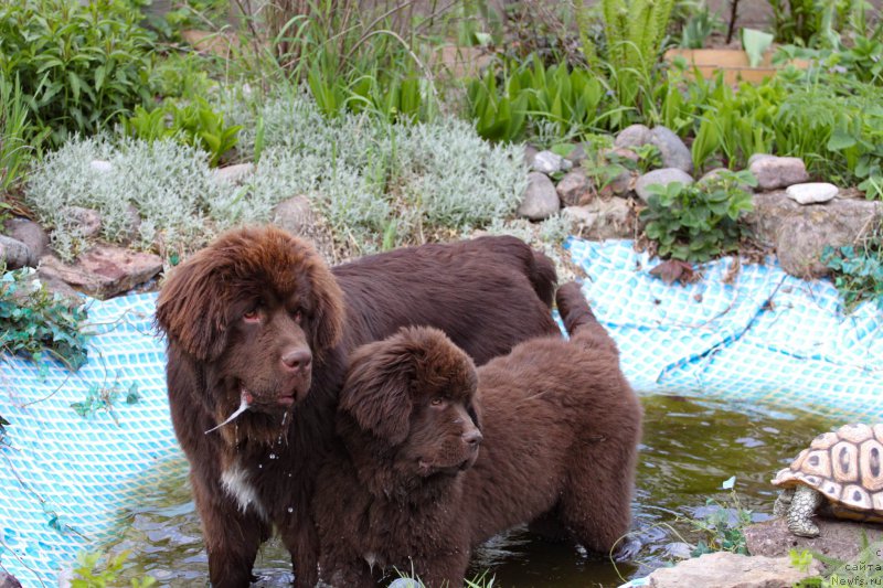 Фотография № 225439