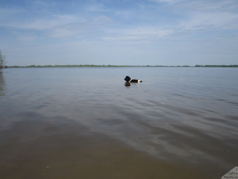 Фотография № 225442