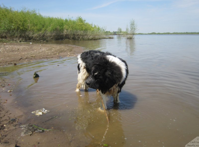 Фотография № 225444