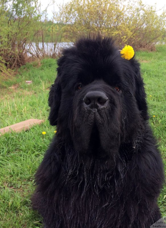 Фотография № 225454