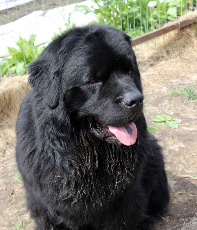 Фотография № 225459