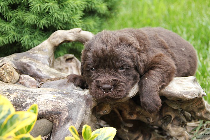 Фотография № 225463