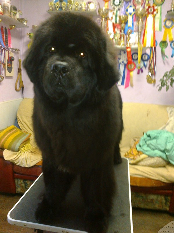 Фотография № 225473