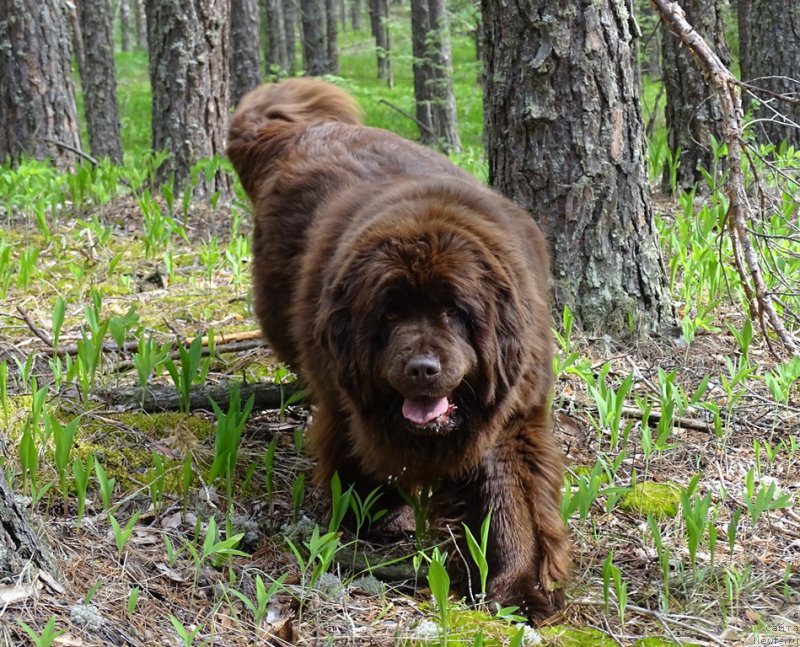 Фотография № 225479